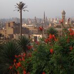 Profile picture of ABDELLATIF EL YAGOUBI